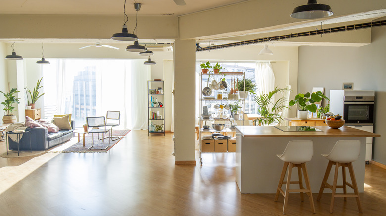 modern open concept apartment with kitchen and living room combined